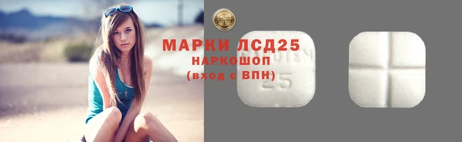 2c-b Бородино